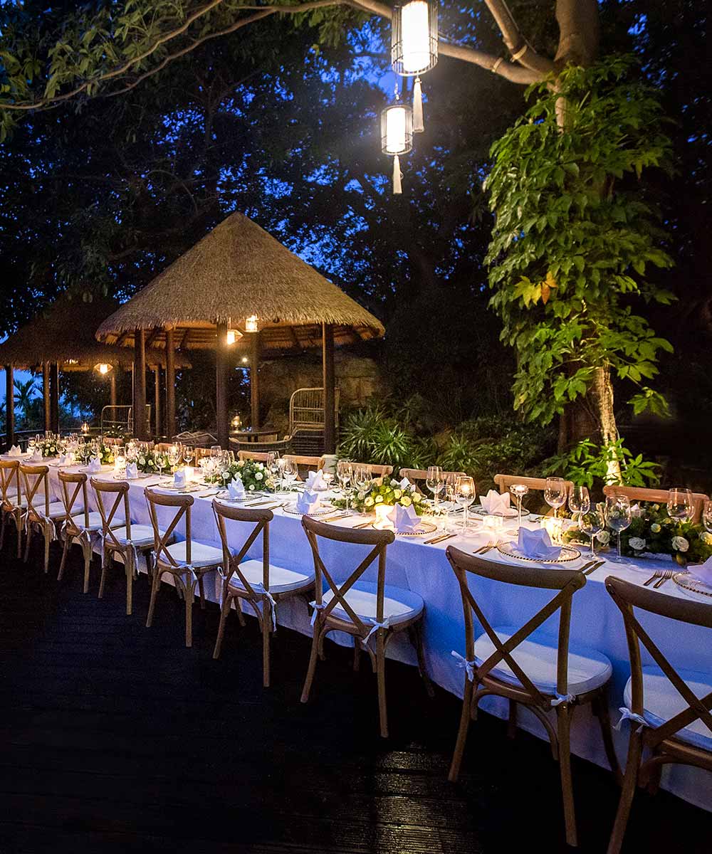 Best Restaurants in Samui News & Events Tree Top Dining Koh Samui